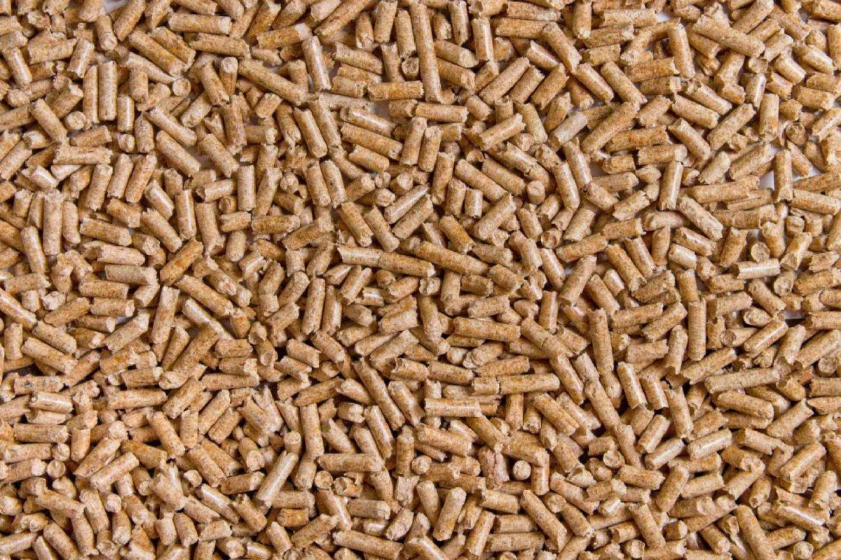 pellet-3